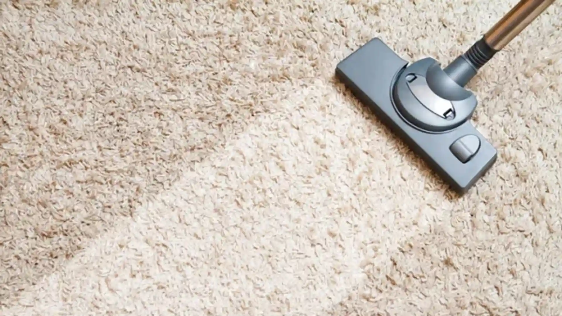 mejor servicio de limpieza de alfombras a domicilio